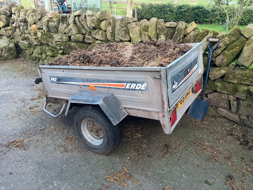 Trailer load horse manure - horse,