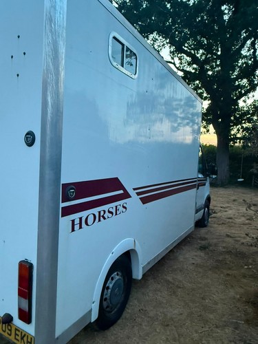 Motorised horsebox - motorised,