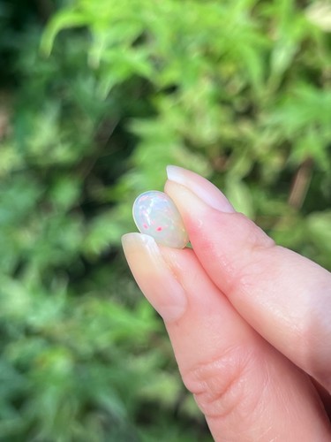 Opal precious white rainbow - white,