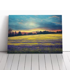 Entrancing Bluebell Field Sunrise Canvas Wall Art Print Framed Picture Decor