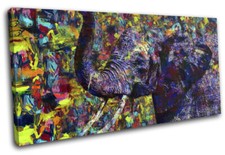 African Elephant Colourful