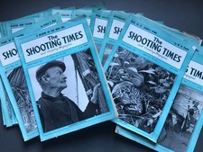 Job Lot 1954 The Shooting