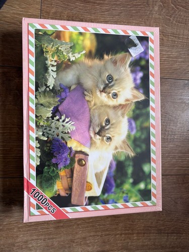 Gibsons moggies and - moggies,