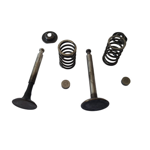 Honda gv100 engine valves - gv100,