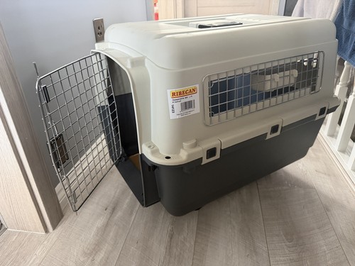 Airline approved cat - approved, /
