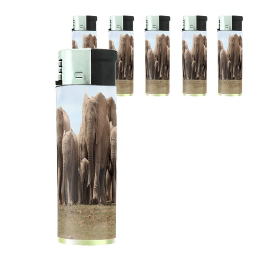 Butane electronic lighter set - lighter,