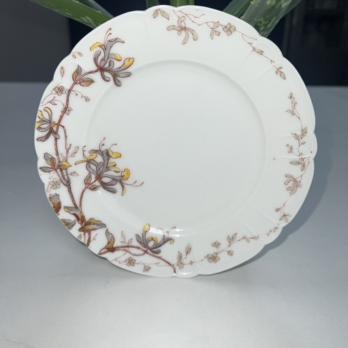 Haviland company limoges - haviland,
