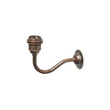 Wall Light with Swan neck Edison Screw