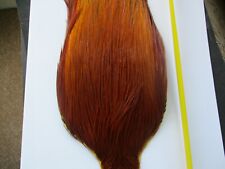 metz cock neck cape brown