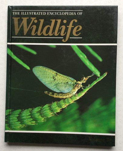 The illustrated encyclopedia - the,