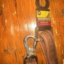 Wainwright Dogs Best Friends