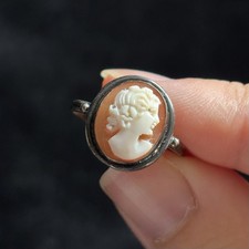 Vintage Antique Shell Unmarked