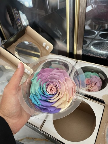 Pastel rainbow rose amor real - rose,