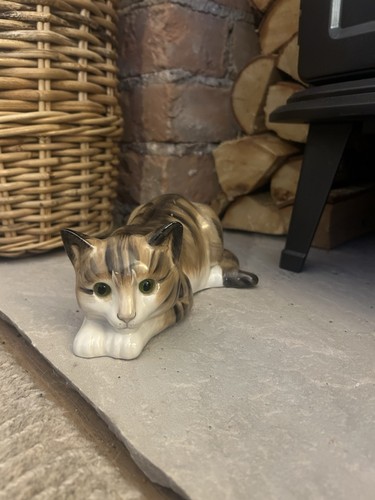 Just cats staffordshire - co.,