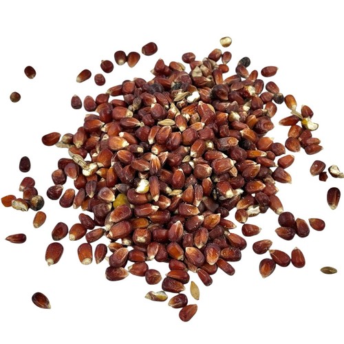 Red maize whole corn kernels - red,