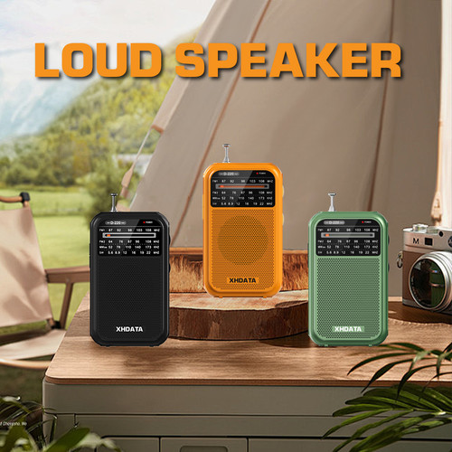 Xhdata d220 portable radio - xhdata,