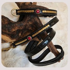 DOG SHOW COLLAR PREMIUM CROC