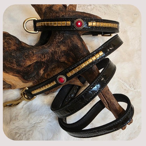 Dog show collar premium - show,