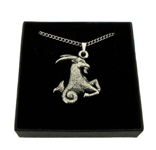 Capricorn pendant gift - in,