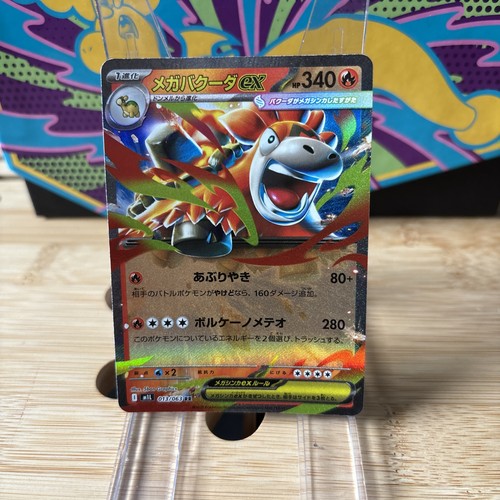 Mega camerupt 013 063 - mega,
