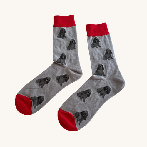 Black cocker spaniel socks - black,