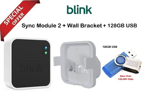 Blink sync module - sync, +
