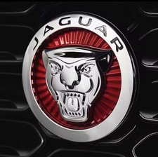 Front grille name - name, badge