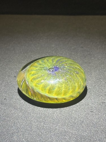 Vintage flat glass paperweight - vintage,