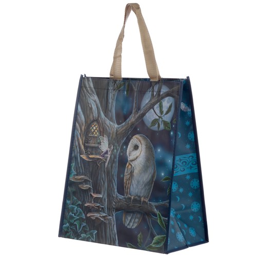 Lisa parker fairy - parker, owl