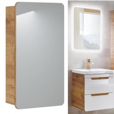 Bathroom Mirror Cabinet