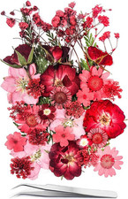 15 Types 37Pcs Red Dried