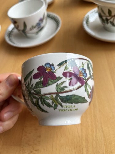 Portmeirion botanic garden - garden, tea