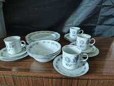 Mitterteich Bavaria Forget Me