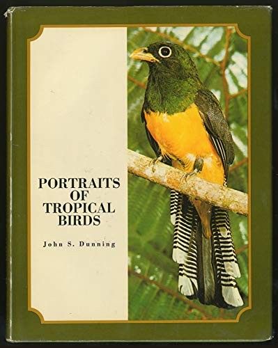 Portraits tropical birds - portraits, of