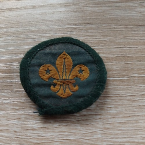 Vintage boy scouts badge - boy,