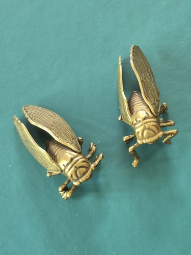 Brass cicada models - brass,