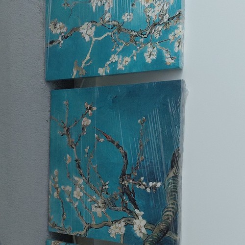 Set canvases monet - 3,