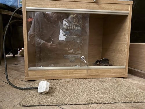 Wooden snake vivarium - snake, with