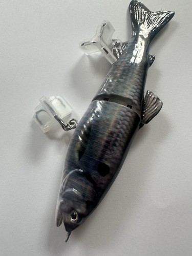 Pike fishing swimbait 25g - pike,