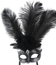 Black & Silver Long Feather