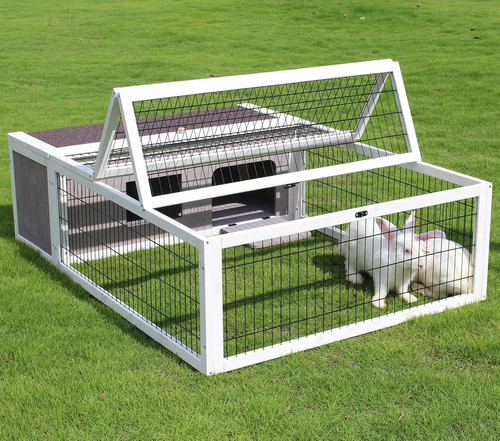 Tortoise house habitat wooden - house,