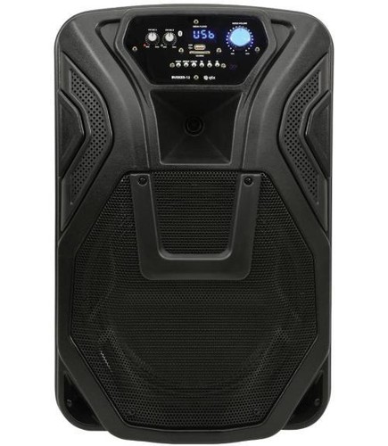 Busker portable pa with - 12",