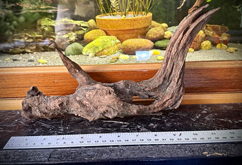 Aquarium driftwood 31cm - aquarium,