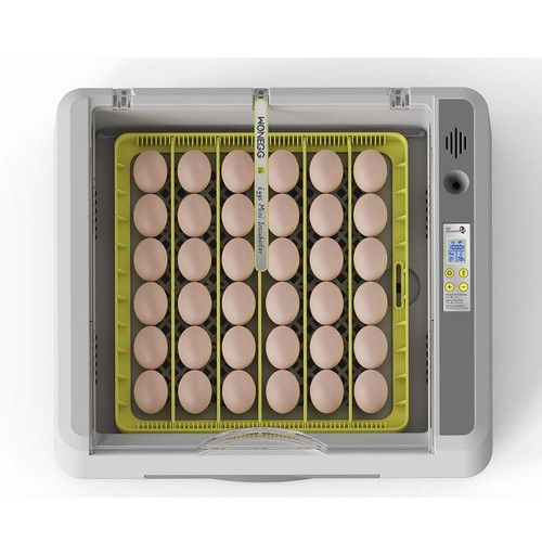 Fully automatic incubator - automatic,