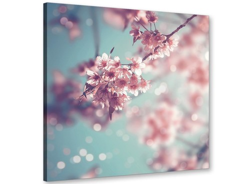 Duck egg blue - egg, pink
