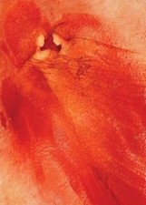 Mystic Voyage I by Charlotte Atkinson