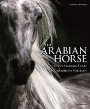 The arabian horse gabriele - the,