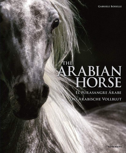 The arabian horse gabriele - horse, by