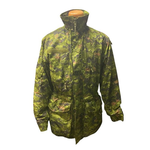 Canadian armed forces - armed,