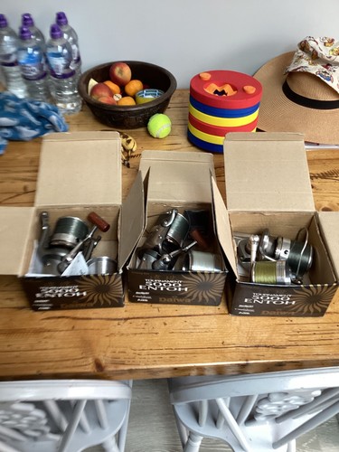 Daiwa tournament 5000t - tournament, x3
